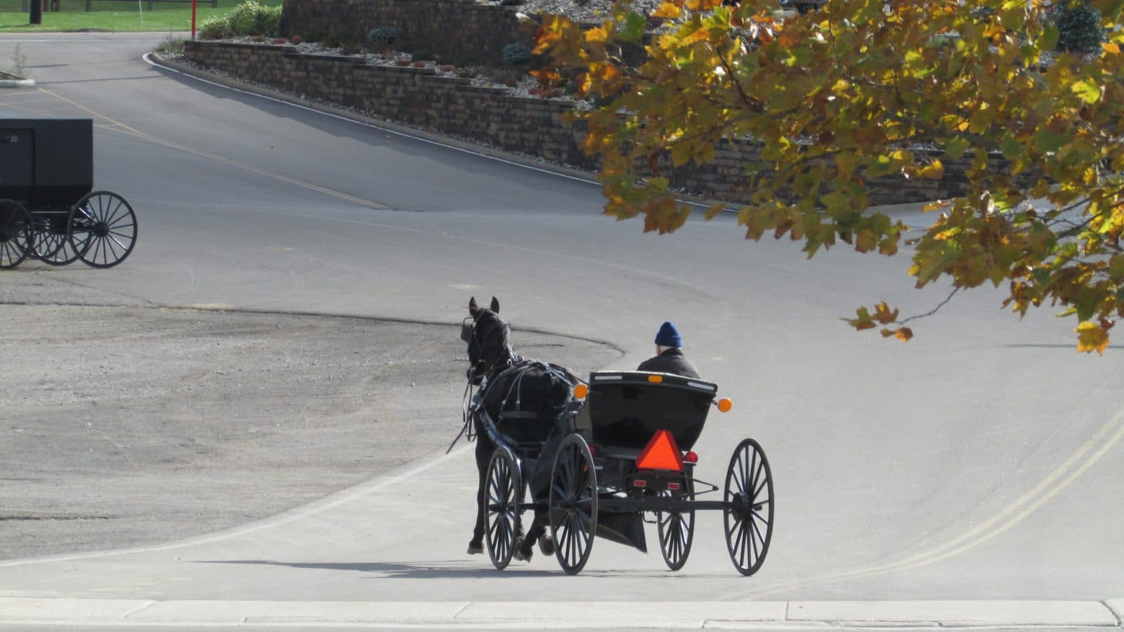 Amish horse-drawn buggy traveling on a road in Holmes County, Ohio